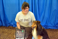 Photo Gallery: 4-H Dog Show