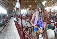 In 4-H show ring, animals??? appearance can be deceiving