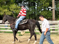 Veterans benefit from working with horses